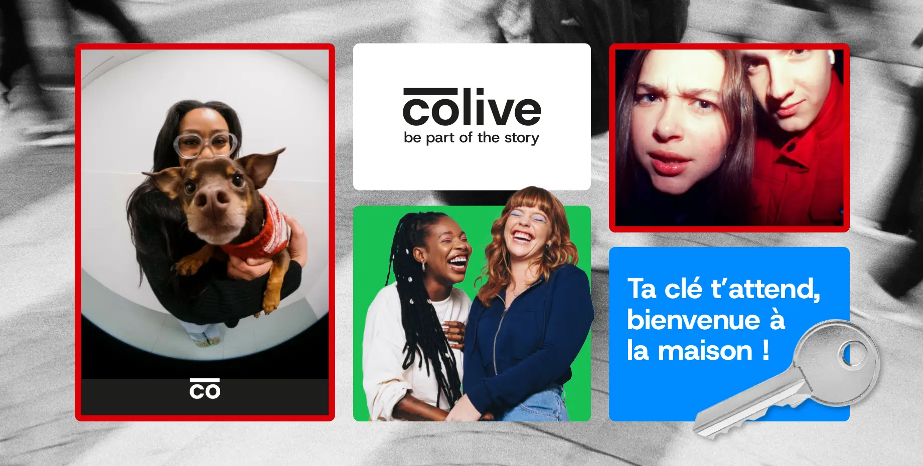 COLIVE_Image_5