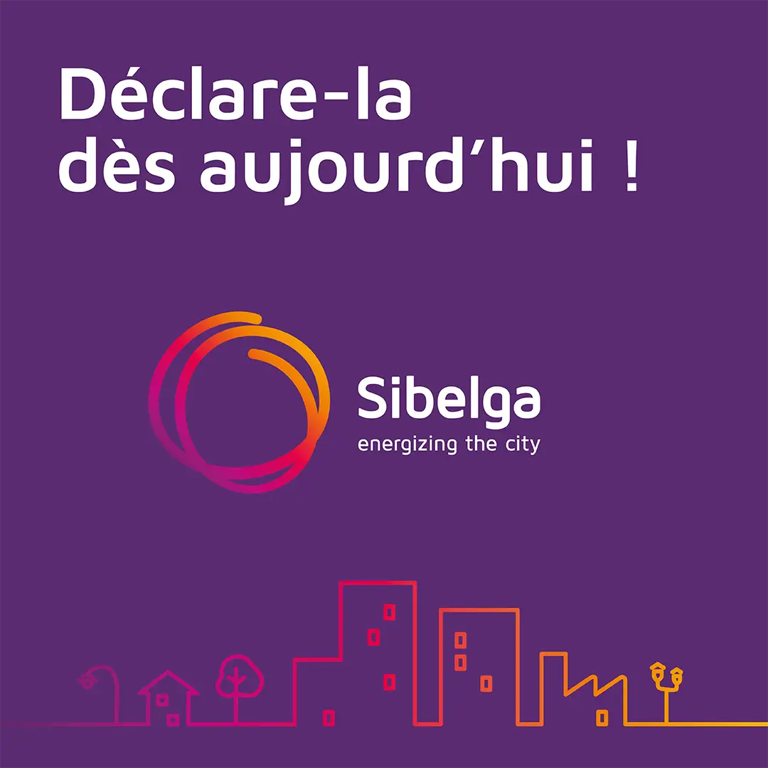 SIBELGA_Photo_2